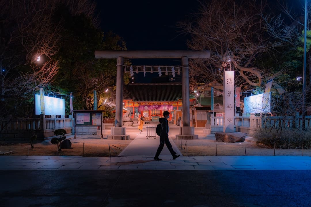 寒武纪进阶曲：国产AI芯片的突围之路